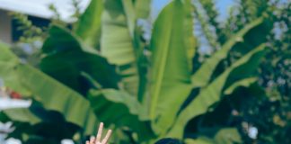 “लोकप्रिय आमदार सुधीर मुनगंटीवारांच्या शब्दांना जनतेचा विश्वास! प्रा डॉ किरण कापगते नगराध्यक्ष पदाच्या विजयाच्या उंबरठ्यावर.”