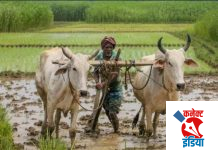 अतिक्रमणधारक शेतकऱ्यांचा तहसीलवर मोर्चा.