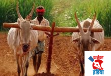 अवकाळी पाऊस मदत निधी.